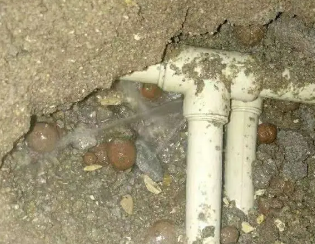 河口卫生间测漏