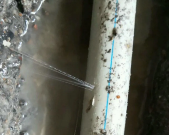 河口卫生间测漏水多少钱