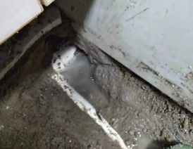 河口卫生间测漏水多少钱