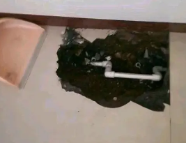 河口卫生间测漏水多少钱